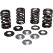 Set arcuri CRF250R 18-21 KIBBLEWHITE 30-33600 Set arcuri CRF250R 18-21 KIBBLEWHITE 30-33600 thumb