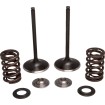 Supapă KT IN CRF250R 18-21 KIBBLEWHITE 30-34000 Supapă KT IN CRF250R 18-21 KIBBLEWHITE 30-34000 thumb