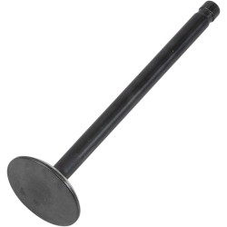 Supapă BLACK DIAMOND pentru sistem de evacuare KIBBLEWHITE 20-20092 Supapă BLACK DIAMOND pentru sistem de evacuare KIBBLEWHITE 20-20092