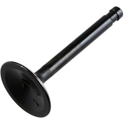 Supapă BLACK DIAMOND pentru sistemul de evacuare KIBBLEWHITE 20-4195 Supapă BLACK DIAMOND pentru sistemul de evacuare KIBBLEWHITE 20-4195