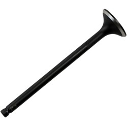 Supapă BLACK DIAMOND pentru sistemul de evacuare KIBBLEWHITE 30-30090 Supapă BLACK DIAMOND pentru sistemul de evacuare KIBBLEWHITE 30-30090