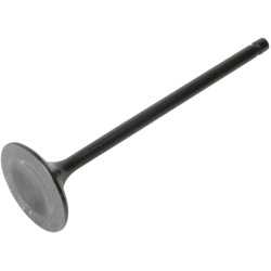 Supapă BLACK DIAMOND pentru sistemul de evacuare KIBBLEWHITE 30-3117 Supapă BLACK DIAMOND pentru sistemul de evacuare KIBBLEWHITE 30-3117