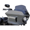 Parbriz Flare S 6