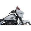 Parbriz Flare - 8 Parbriz Flare - 8