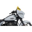 Parbriz Flare - 8 Parbriz Flare - 8