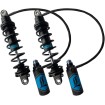 Amortizoare REVO-ARC remote 13 heav LEGEND SUSPENSIONS 1310-1887 Amortizoare REVO-ARC remote 13 heav LEGEND SUSPENSIONS 1310-1887 thumb