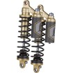 Amortizoare REVO-ARC PB 13 HD LEGEND SUSPENSIONS 1310-1915 Amortizoare REVO-ARC PB 13 HD LEGEND SUSPENSIONS 1310-1915 thumb