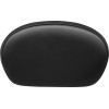 Spătar pentru sissy bar - neted - mat - mediu LE PERA L-SBP02S-DULL