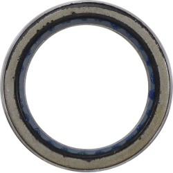 Rulment de ambreiaj - Polaris MOOSE RACING 100-4202-PU