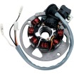 Stator MOOSE RACING M-21-550 Stator MOOSE RACING M-21-550 thumb