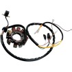Stator MOOSE RACING M-21-553 Stator MOOSE RACING M-21-553 thumb