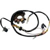 Stator MOOSE RACING M-21-554