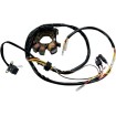 Stator MOOSE RACING M-21-554 Stator MOOSE RACING M-21-554 thumb
