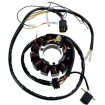 Stator MOOSE RACING M-21-556 Stator MOOSE RACING M-21-556 thumb