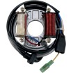 Stator high-output MOOSE RACING M-21-705H Stator high-output MOOSE RACING M-21-705H thumb