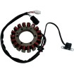 Stator MOOSE RACING M-21-917 Stator MOOSE RACING M-21-917 thumb