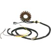Stator MOOSE RACING M-21-558 Stator MOOSE RACING M-21-558 thumb