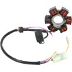 Stator MOOSE RACING M-21-634H Stator MOOSE RACING M-21-634H thumb
