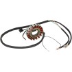 Stator MOOSE RACING M-21-567 Stator MOOSE RACING M-21-567 thumb