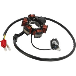 Stator CAN AM MOOSE RACING M-21-061 Stator CAN AM MOOSE RACING M-21-061