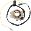 Stator MSE RACING HON MOOSE RACING M-21-603H Stator MSE RACING HON MOOSE RACING M-21-603H thumb