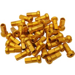 Set niplu MX1 8 GA gold MOOSE RACING 24-890 Set niplu MX1 8 GA gold MOOSE RACING 24-890