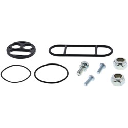 Set de reparație pentru robinet de combustibil AC MOOSE RACING 60-1030