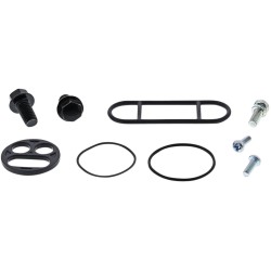 Set de reparație pentru robinet de combustibil AC MOOSE RACING 60-1031 Set de reparație pentru robinet de combustibil AC MOOSE RACING 60-1031
