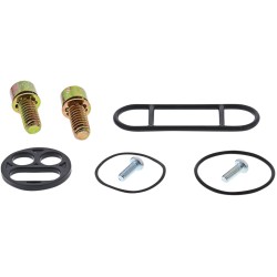 Set de reparație pentru robinet de combustibil POL MOOSE RACING 60-1035 Set de reparație pentru robinet de combustibil POL MOOSE RACING 60-1035
