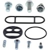 Set de reparație pentru robinet de combustibil KAW MOOSE RACING 60-1080