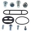 Set de reparație pentru robinet de combustibil KAW MOOSE RACING 60-1080 Set de reparație pentru robinet de combustibil KAW MOOSE RACING 60-1080 thumb