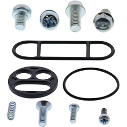 Set de reparație pentru robinet de combustibil KAW MOOSE RACING 60-1080