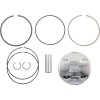 Set piston RAPT/RHIN660 MOOSE RACING MP1016B