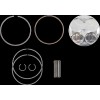 Set piston race KX250F MOOSE RACING MPX3061