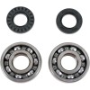 Set rulmenți/etansări pentru arbore cotit YAMAHA MOOSE RACING 24-1062