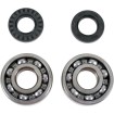 Set rulmenți/etansări pentru arbore cotit YAMAHA MOOSE RACING 24-1062 Set rulmenți/etansări pentru arbore cotit YAMAHA MOOSE RACING 24-1062 thumb