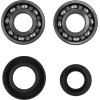Set rulmenți/etansări pentru arbore cotit KAWASAKI/SUZUKI MOOSE RACING 24-1067