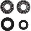 Set rulmenți/etansări pentru arbore cotit KAWASAKI/SUZUKI MOOSE RACING 24-1067 Set rulmenți/etansări pentru arbore cotit KAWASAKI/SUZUKI MOOSE RACING 24-1067 thumb
