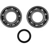 Set rulmenți/etansări pentru arbore cotit KAWASAKI/SUZUKI MOOSE RACING 24-1081