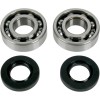 Set rulmenți/etansări pentru arbore cotit KAWASAKI/SUZUKI MOOSE RACING 24-1035