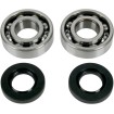Set rulmenți/etansări pentru arbore cotit KAWASAKI/SUZUKI MOOSE RACING 24-1035 Set rulmenți/etansări pentru arbore cotit KAWASAKI/SUZUKI MOOSE RACING 24-1035 thumb