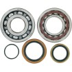 Set rulmenți și garnituri pentru arbore cotit KTM MOOSE RACING 24-1097 Set rulmenți și garnituri pentru arbore cotit KTM MOOSE RACING 24-1097 thumb