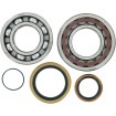 Set rulmenți și garnituri pentru arbore cotit KTM MOOSE RACING 24-1098 Set rulmenți și garnituri pentru arbore cotit KTM MOOSE RACING 24-1098 thumb