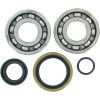 Set rulmenți și garnituri pentru arbore cotit KTM MOOSE RACING 24-1099