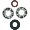 Set rulmenți și garnituri pentru arbore cotit KTM MOOSE RACING 24-1101