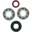 Set rulmenți și garnituri pentru arbore cotit KTM MOOSE RACING 24-1101 Set rulmenți și garnituri pentru arbore cotit KTM MOOSE RACING 24-1101 thumb