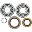 Set rulmenți și garnituri pentru arbore cotit KTM MOOSE RACING 24-1103 Set rulmenți și garnituri pentru arbore cotit KTM MOOSE RACING 24-1103 thumb