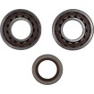 Set rulmenți și garnituri pentru arbore cotit KTM MOOSE RACING 24-1106 Set rulmenți și garnituri pentru arbore cotit KTM MOOSE RACING 24-1106 thumb