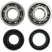 Rulment arbore cotit MSE PW50 MOOSE RACING 24-1061 Rulment arbore cotit MSE PW50 MOOSE RACING 24-1061 thumb