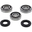 Rulment arbore cotit YZ 65/85 MOOSE RACING 24-1117 Rulment arbore cotit YZ 65/85 MOOSE RACING 24-1117 thumb